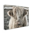 thumbnail image 3 of Stupell Industries Detailed Highlands Cattle Rural Farm Animal Photography Photograph Gallery Wrapped Canvas Print Wall Art, Design by Danita Delimont, 3 of 7