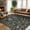 Green, variant on Extra Large Area Rug 10x13 Washable Rug for Living Room Non Slip Floral Peacock Printed Rug Indoor Soft Floor Cover Low Pile Non-Shedding Thin Foldable Carpet for Bedroom Nursery Office Black