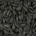 thumbnail image 3 of Black Oil Sunflower Seeds for Planting Attract Pollinators/Bees, etc | Non-GMO, 3 of 4