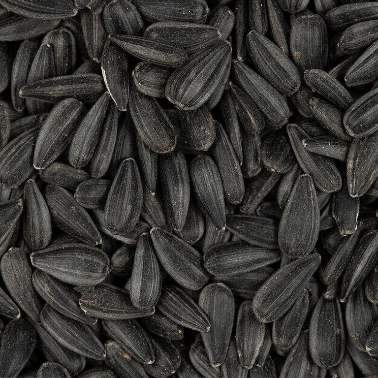Black Oil Sunflower Seeds for Planting Attract Pollinators/Bees, etc | Non-GMO, Size: 100+ Seeds