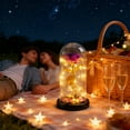 thumbnail image 4 of Light Up Rose Dome, LED Rose Lamp Decor, Romantic Ambiance & Gifting, Multi-color Metallic Rose Glass Dome Light, for Valentine Anniversary Home Decor, 4 of 6