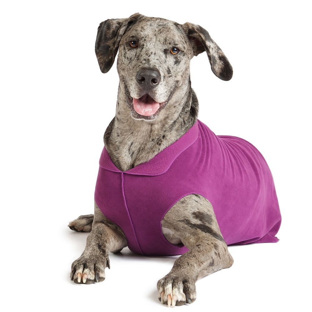 gold paw dog sweaters