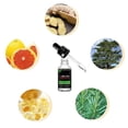 thumbnail image 5 of 2x Men Beard Growth Roller Set Beard Growth Kit Men's Beard Growth Essence Nourishing Enhancer Beard Oil Spray Beard Care, 5 of 5