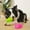 A624 Vacemry under $5, variant on Vacemry Under $5 Pet Chew Toys, Latex Dog Chewing Toys with Squeaker, Bite-Resistant Puppy Teething Toys, Interactive Pet Play Toys for Small Dogs, Durable Rubber Animal Shaped Chew Toys
