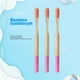 thumbnail image 4 of Cepillo de dientes suave con cerdas de fibra graduables para el cuidado dental 13 Cuidado dental, 4 of 8