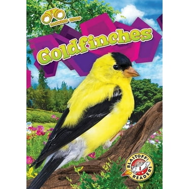 Backyard Birds Goldfinches, (Hardcover)