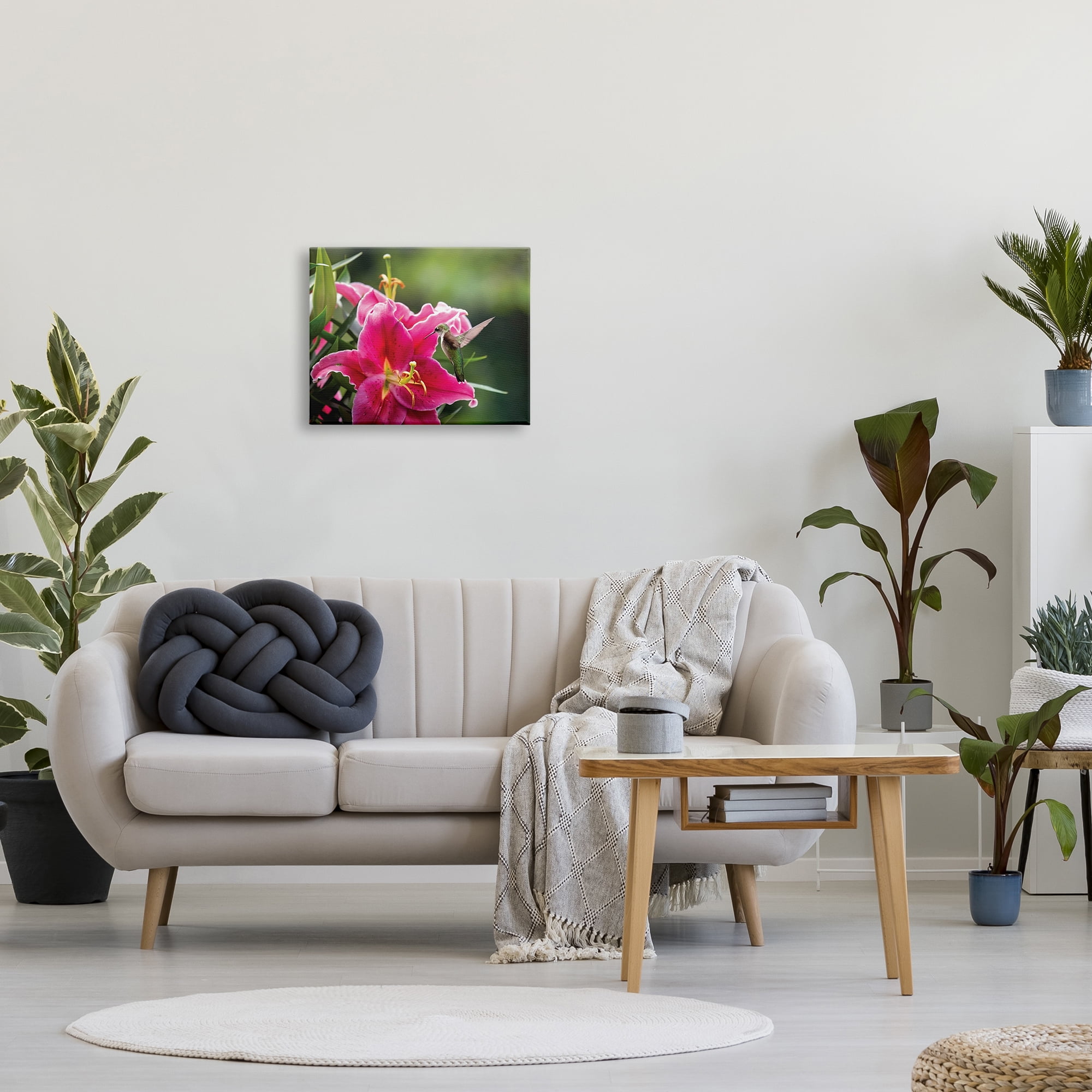 Stupell Industries Hummingbird with Hibiscus Animals & Insects Photography Gallery Wrapped Canvas Print Wall Art, 20 x 16