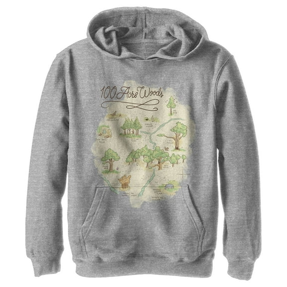 Boy's Winnie the Pooh 100 Acre Woods Map  Pull Over Hoodie Athletic Heather X Large