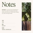 thumbnail image 4 of Vela perfumada LA JOLIE MUSE Kōya Hinoki & Cypress 550ml, 4 of 7
