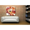 thumbnail image 4 of Epic Art 'Fleur Rouge I' by Tim O'Toole, Acrylic Glass Wall Art, 36"x36", 4 of 6