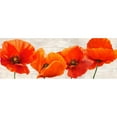thumbnail image 3 of Jenny, Thomlinson 18x9 Black Modern Framed Museum Art Print Titled - Bright Poppies, 3 of 5
