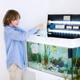 thumbnail image 1 of unbranded 1Jgo Multicolores Para Acuario Con Luminosa Y Material Duradero, 1 of 6