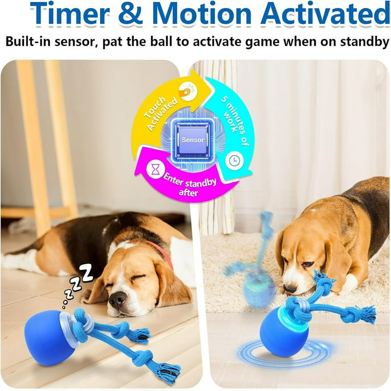 Interactive Dog Ball, Touch Activated Moving Toy photo 2