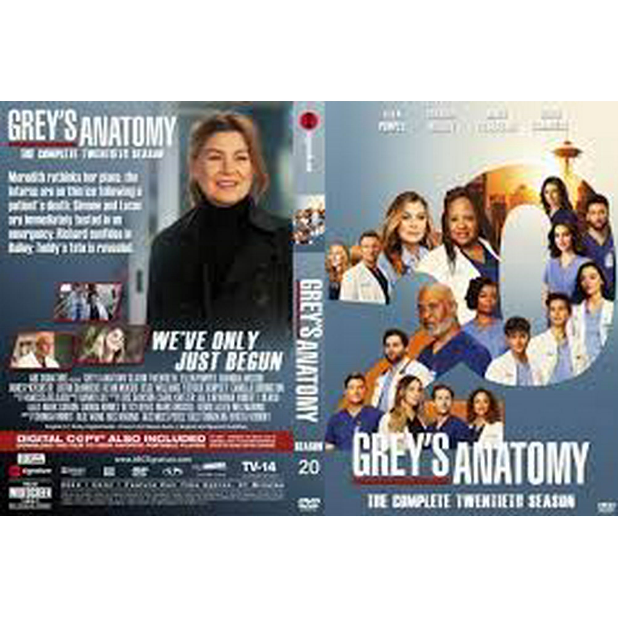 Grey Anatomy Season 20 (DVD) English Only - Walmart.ca