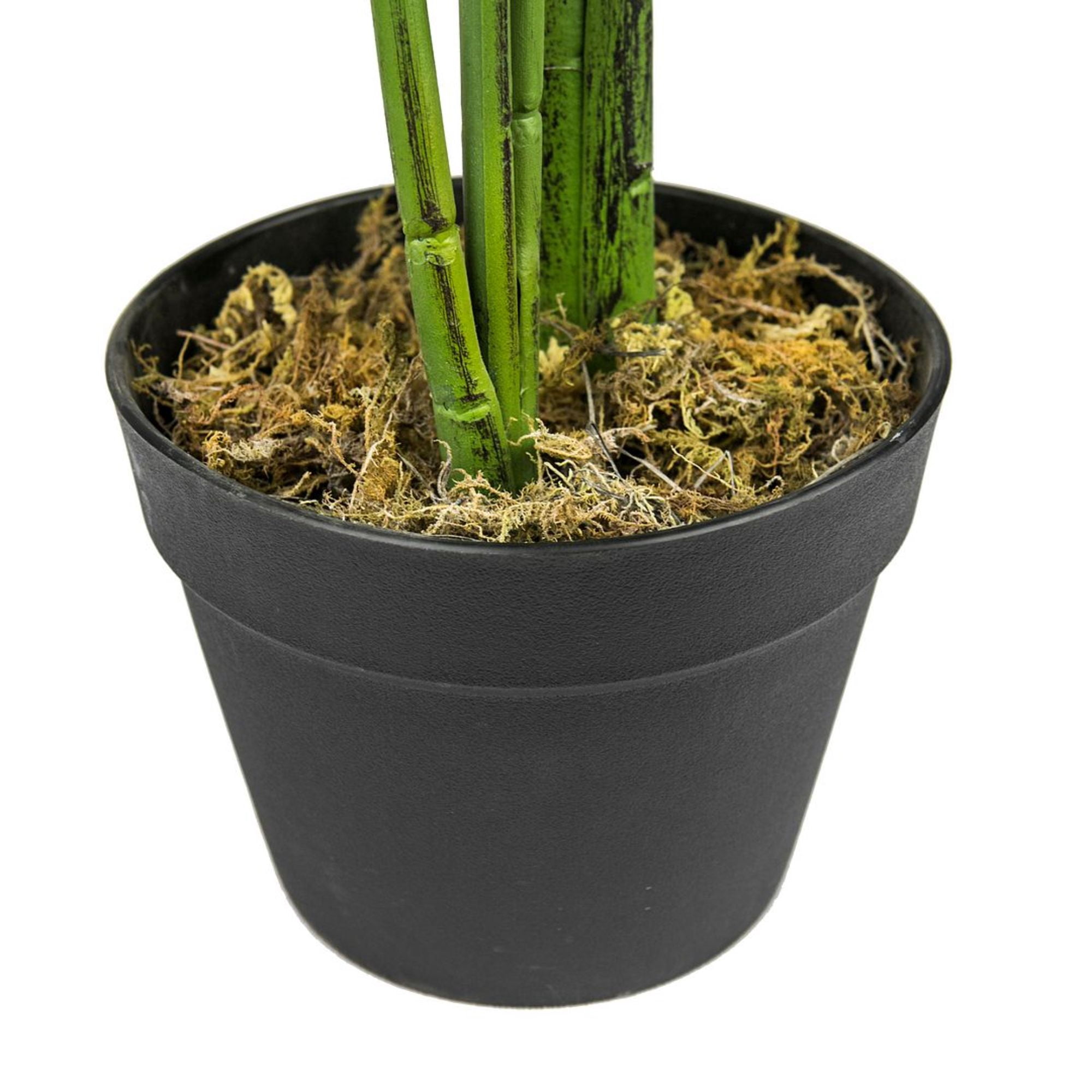 LCG Florals Artificial Plant, Bird of Paradise, 5 ft, Black Plastic Grower's Pot