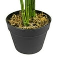 thumbnail image 6 of LCG Florals Artificial Plant, Bird of Paradise, 5 ft, Black Plastic Grower's Pot, 6 of 7