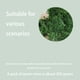 thumbnail image 5 of Bewildely 300g Artificial musgo falso secado verde ladrillo liquen bloque plantas decorativas jardín centros de terrarios Decoración Plantas Artificiales Bewildely  HA084196-00, 5 of 6