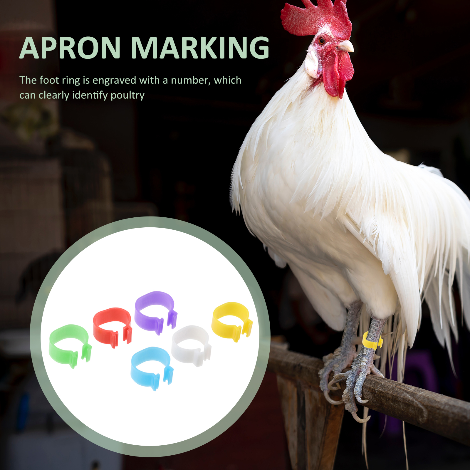 Chicken Thigh Legs 360 Pcs Goose Feet Rings Foot Drumstick Pp