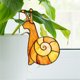 thumbnail image 4 of pstuiky Maceta decorativa de acrílico con inserto para maceta. Maceta decorativa con forma de caracol., 4 of 9