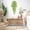 B, variant on Artificial Hanging Vine Orange Pothos 105cm Realistic ABS Plant Garland for Wall Home Living Room Wedding Decor