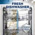 thumbnail image 5 of Finish Dishwasher Cleaner Liquid 8.45 oz (250 ml) 82887, 5 of 12