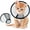 Black/M, variant on Vivifying Cat Cone, 6.1 in Adjustable Recovery Pet Cone, Lightweight Plastic Elizabethan Collar for Small Cats&Mini Dogs (Black-S)