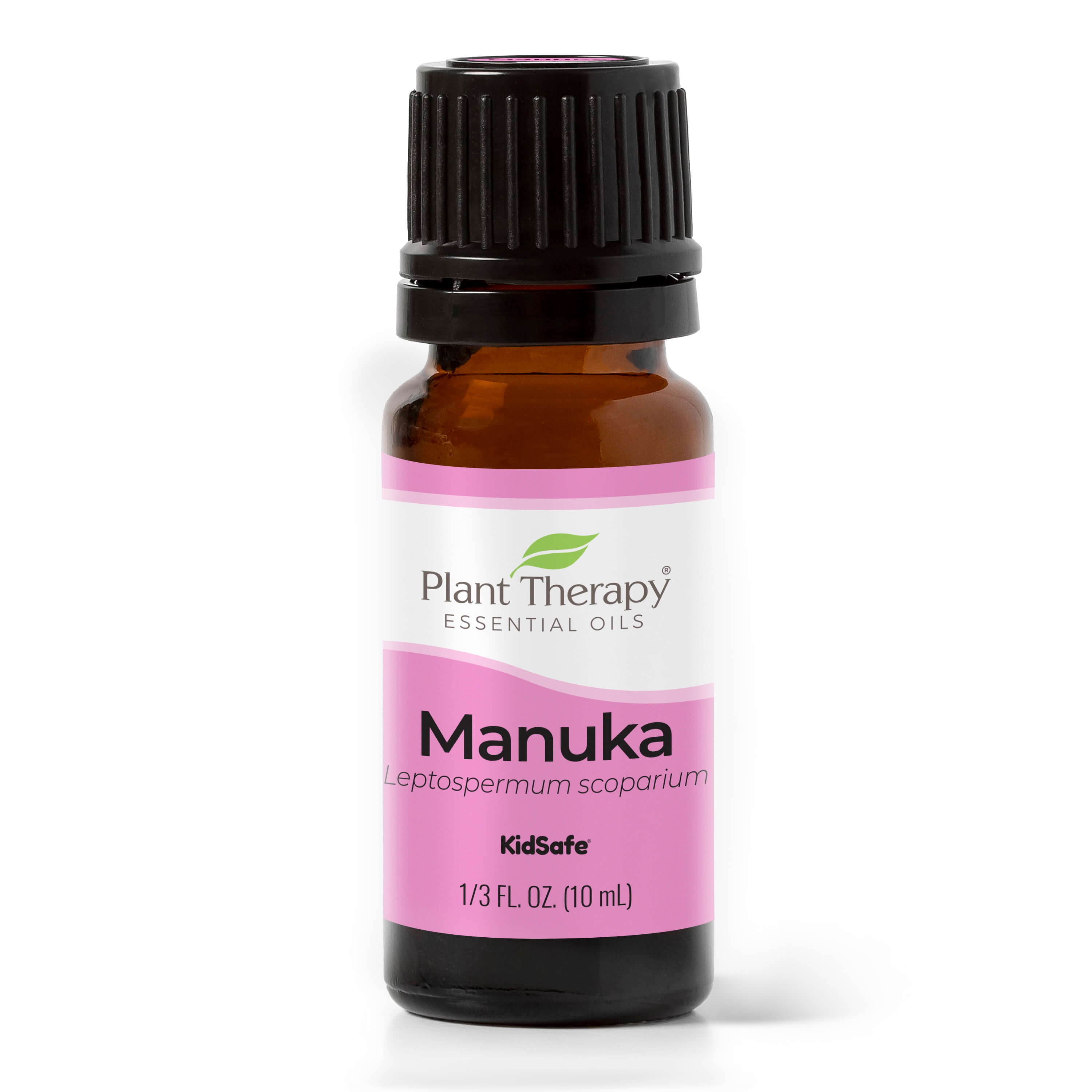 Plant Therapy Manuka Essential Oil 10 mL (1/3 oz) 100 Pure, Undiluted