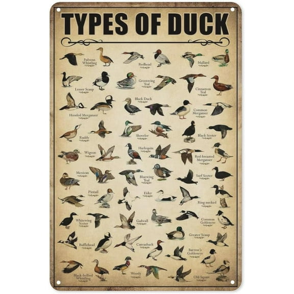 Type Of Duck Tin Sign Duck Hunting Decor Mallard Ducks Knowledge Metal Signs Vintage Duck Hunting Decorations For Home Kitchen Bathroom Duck Wall Art Decor Poster 8 x 12 Inch
