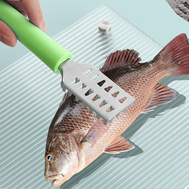 Kitchen Scale Scraper Tool with Stainless Steel Handle Efficient Seafood Cleaning Implement for Chefs and Home Cooks