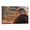 Frame-style, variant on Eagle Theme Motivational Inspirational Positive Quote If They Stand behind You Protect Them Gifts Canvas Painting Poster Wall Art Decorative Picture Prints Modern Decor 24x36inch(60x90cm)