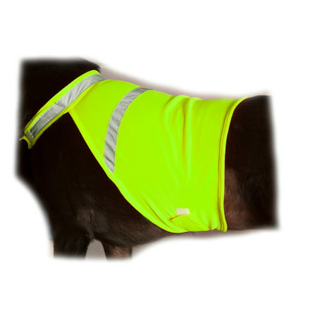 2PET Dog Hunting Vest and Safety Reflective Vest - Used for High Visibility - Protects Pets from Cars & Hunting Accidents in Both Urban and Rural Environments - Choose Color and
