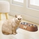 thumbnail image 3 of Pack de 2 Comederos de Agua Extraíbles para Perros Y Gatos, 3 of 7