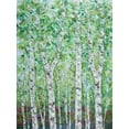 thumbnail image 2 of Coolick, Ann Marie 12x14 White Modern Wood Framed Museum Art Print Titled - Green Birchwood II, 2 of 4