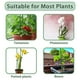 thumbnail image 4 of Kearding Solución de almacenamiento práctica para estacas de plantas, accesorios de jardinería, soporte para palos de plantas, alto y fácil Jardín y Patio Verde 18 pulgadas/45 cm 12 juegos, 4 of 6