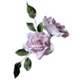 thumbnail image 1 of Crystal Candy Pink Rose Edible Flower Kit, 1 of 2