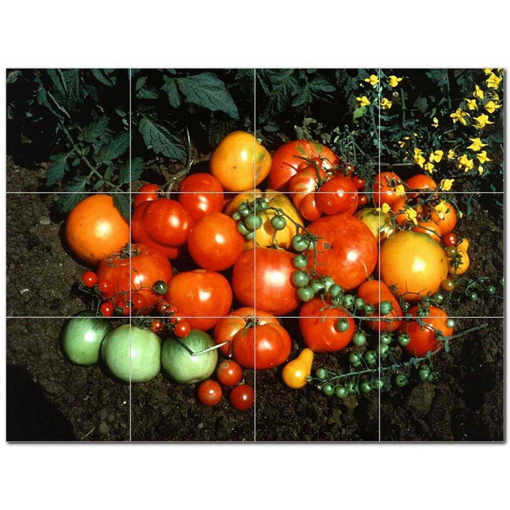 Fruits Vegetables Ceramic Tile Mural Kitchen Backsplash Bathroom Shower