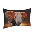 thumbnail image 2 of Bixox Elephant Sunset in Kenya Printed Pillow Protector,Super Soft Ideal for Home,Guests,Rentals - 16"x24", 2 of 8