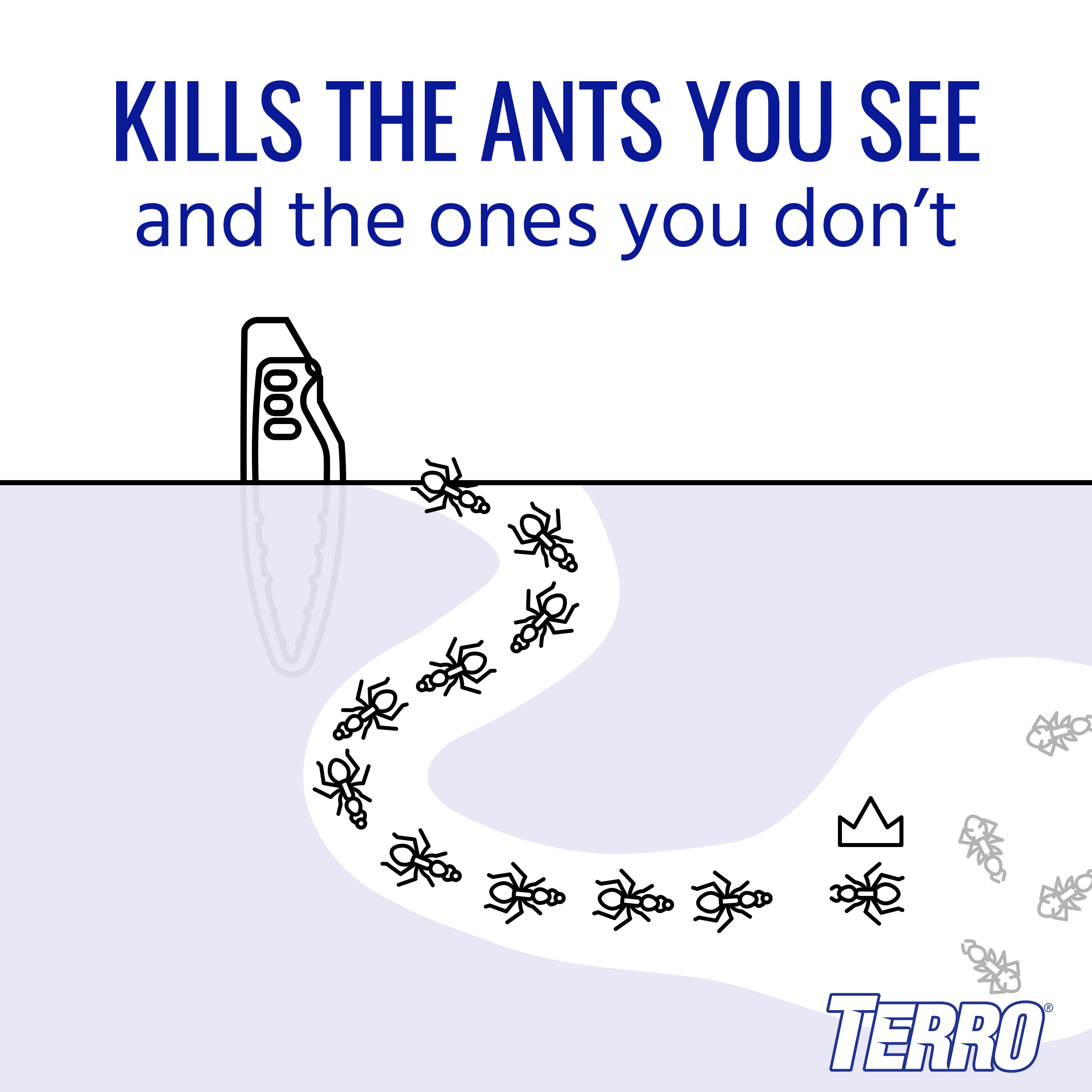 Terro Outdoor Liquid Ant Bait Stakes, 8ct - image 3 of 9