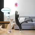 4 PCS Motion Activated Cat Ball With LED Light Pet Interactive Toy
