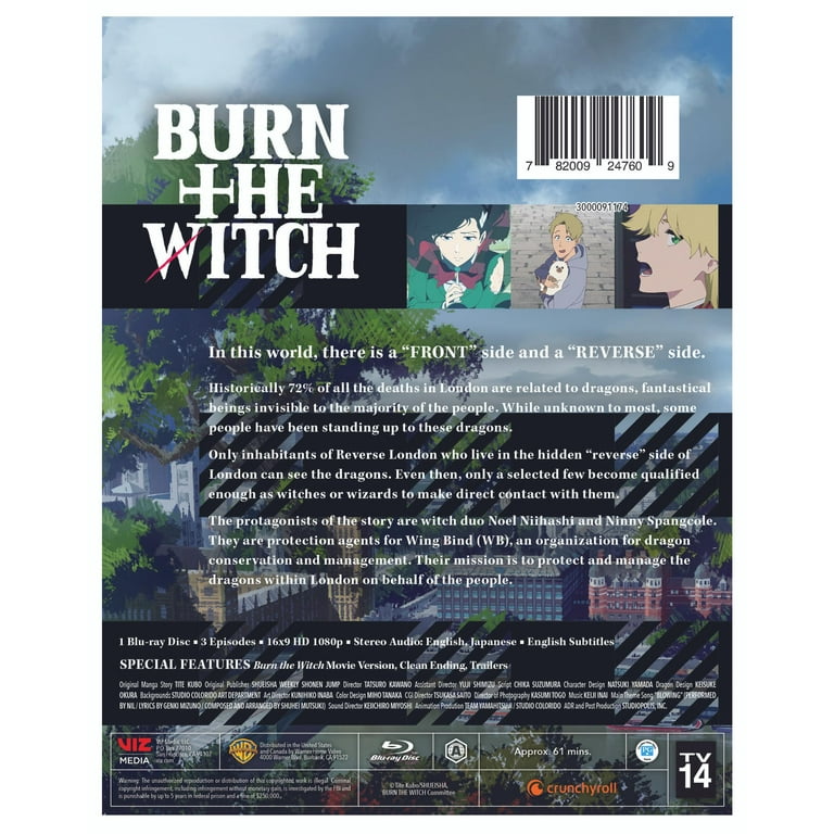Burn the Witch: Limited Series (BD)
