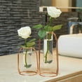 thumbnail image 6 of Geometric Test Tube Vase with Metal Frame, Transparent Glass Planter Hydroponics Decoration, 6 of 6