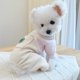 thumbnail image 5 of Sudadera con capucha para perro, ropa para perro, mono de 4 patas, suéter polar de invierno, sudadera con capucha de algodón cálida para perro pequeño, mediano y grande JM, 5 of 5