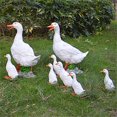 thumbnail image 3 of Outdoor Family Duck Statue Mother Child Duck Children's Garden Statue for Garden Decoration, 3 of 6