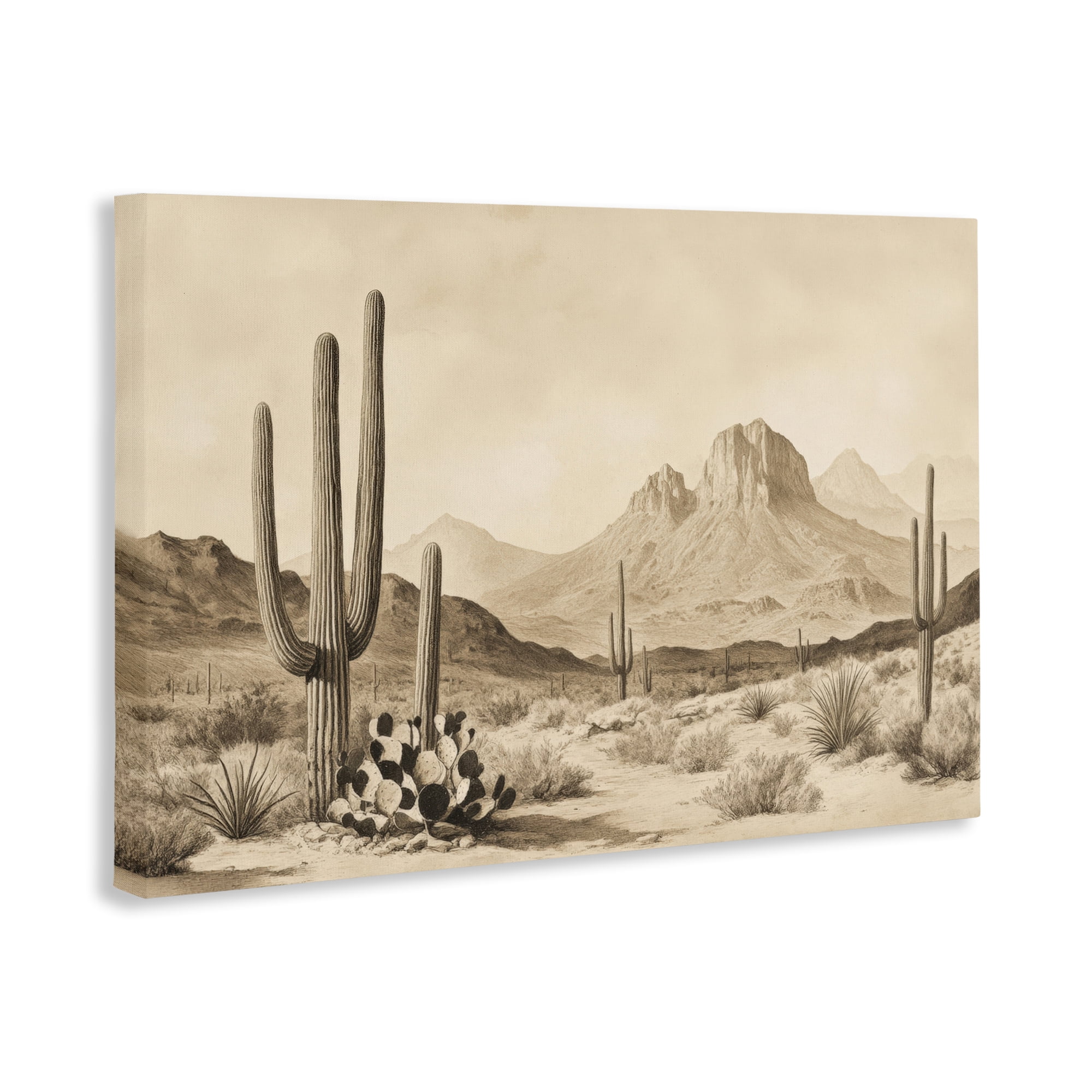 Stupell Industries Arizona Desert Vista Canvas Wall Art, design by Petal Prints Design