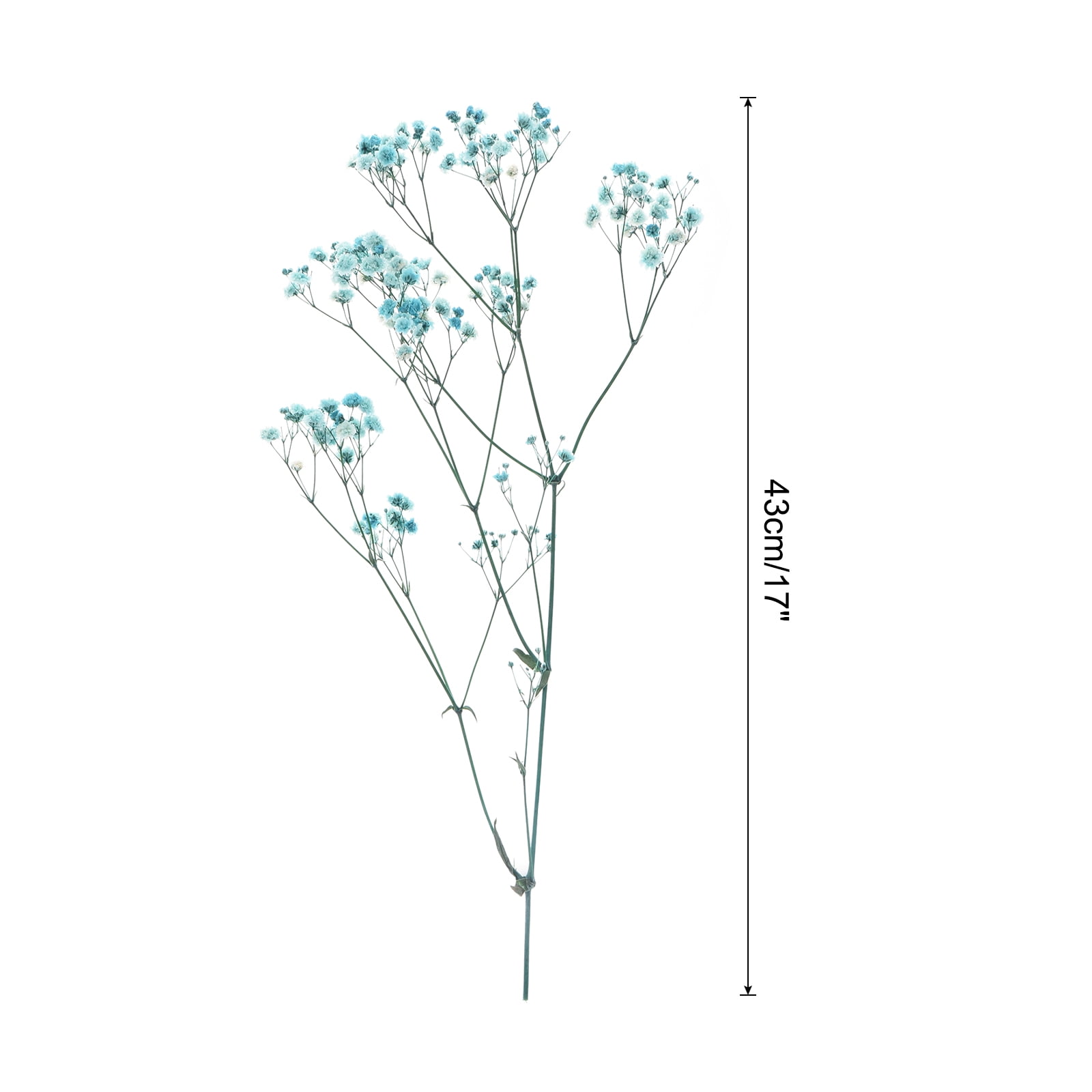Uxcell Dried Baby's Breath Flowers 17 Inch Gypsophila Sky Blue Natural Baby's Breath Branches for Wedding Party Home Decoration 3 Pcs