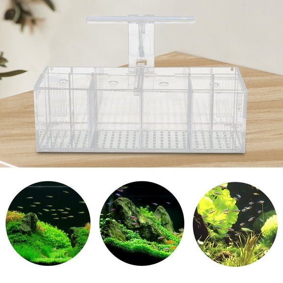 Miumaeov Acrylic Aquarium Tank Betta Fish Tank Transparent 4 Grid Fishes Tank with LED Lights