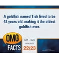 thumbnail image 4 of OMG Facts 2022 Boxed Daily Calendar, 4 of 12