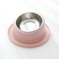 thumbnail image 3 of Kitty Bowl with Non-Spill Edge, Raised Pet Feeder for Cats/Dogs, Inclined Design, Stainless Steel & , Indoor Food/Water Bowl, 3 of 5