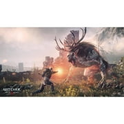 Warner Bros. The Witcher 3: Wild Hunt Video Games - PlayStation 4
