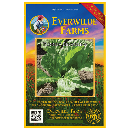 Everwilde Farms - 2000 Florida Broadleaf Mustard Seeds - Gold Vault Jumbo Bulk Seed
